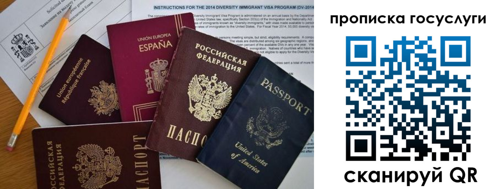 прописка гарантия в Видном